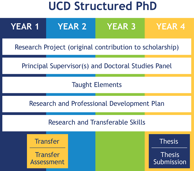 Studies Structured PhD Diagramx750.png